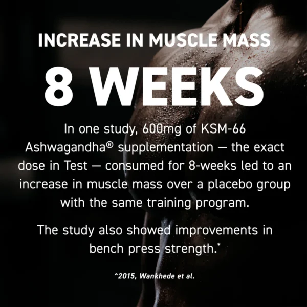 Kaged test 60 Servings program