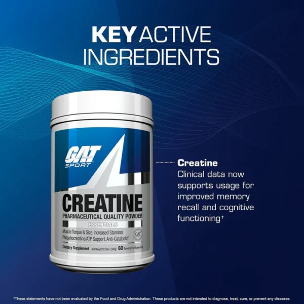 GATSPORTS CREATINE MONOHYDRATE INGREDIENTS